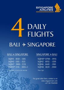 Affordable Flight Tickets to Chennai and Singapore